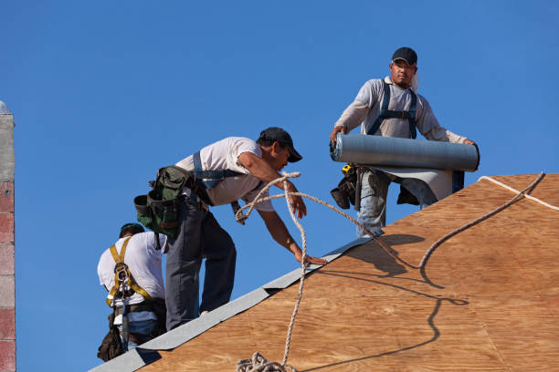 Best Roof Gutter Cleaning  in Fredericktown, MO
